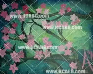 Angel's Blossoms