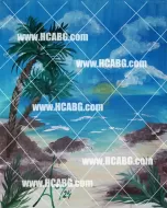 Beautiful Beach